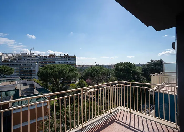 Bv Oly 4* Roma